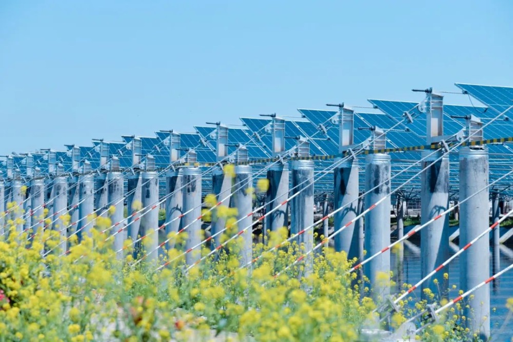 凯时国际(中国游)官方网站