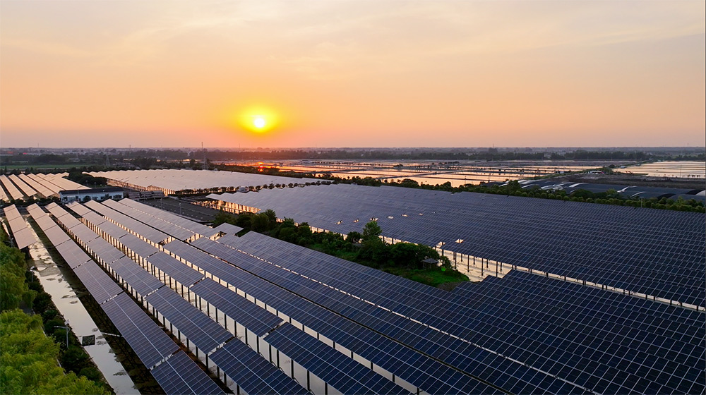 凯时国际(中国游)官方网站